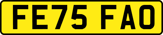 FE75FAO
