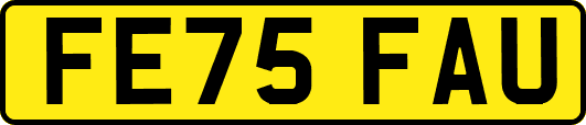 FE75FAU