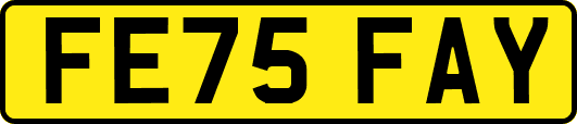 FE75FAY