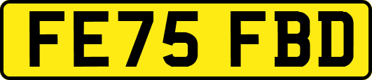 FE75FBD
