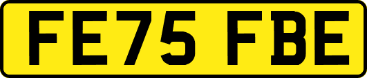 FE75FBE