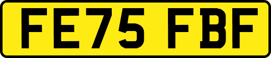 FE75FBF