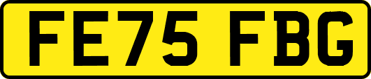FE75FBG