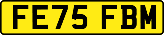 FE75FBM