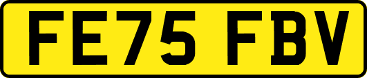 FE75FBV