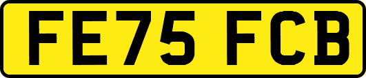 FE75FCB