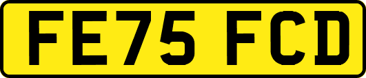 FE75FCD