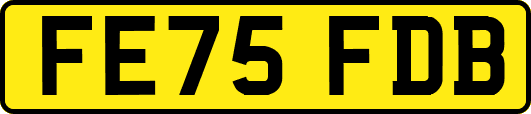 FE75FDB