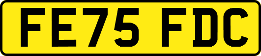 FE75FDC