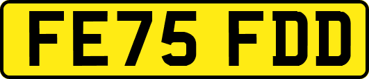 FE75FDD