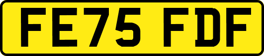 FE75FDF