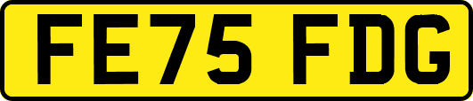 FE75FDG