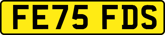 FE75FDS
