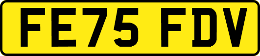 FE75FDV