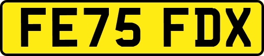 FE75FDX