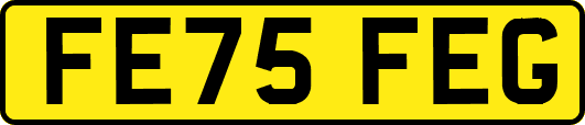 FE75FEG