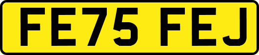 FE75FEJ