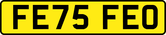 FE75FEO