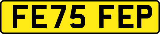 FE75FEP