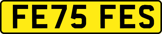 FE75FES