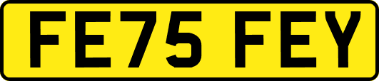 FE75FEY