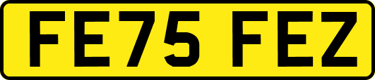 FE75FEZ