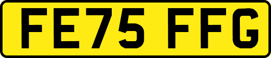 FE75FFG