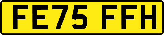 FE75FFH