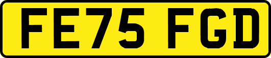 FE75FGD