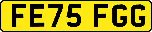 FE75FGG