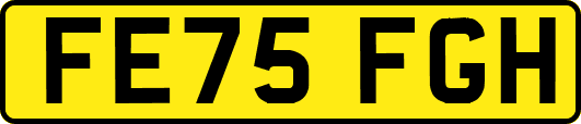 FE75FGH