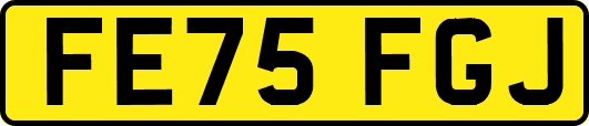 FE75FGJ