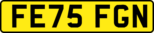 FE75FGN