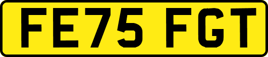FE75FGT