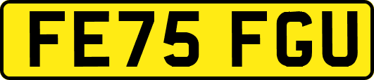 FE75FGU