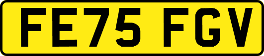 FE75FGV
