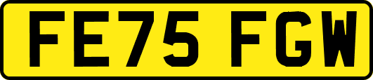 FE75FGW