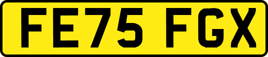 FE75FGX