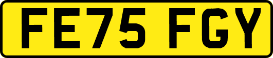 FE75FGY