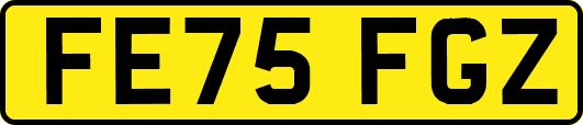 FE75FGZ