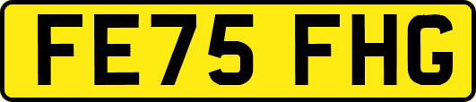 FE75FHG