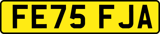 FE75FJA