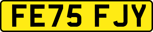 FE75FJY