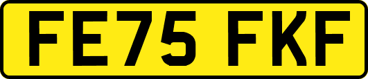 FE75FKF