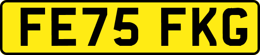 FE75FKG