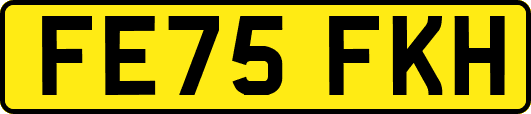 FE75FKH