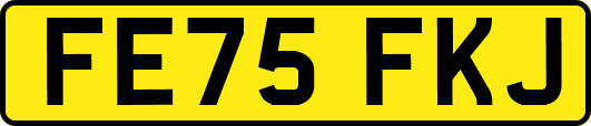 FE75FKJ