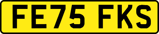 FE75FKS