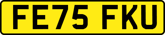 FE75FKU