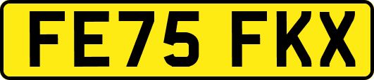 FE75FKX